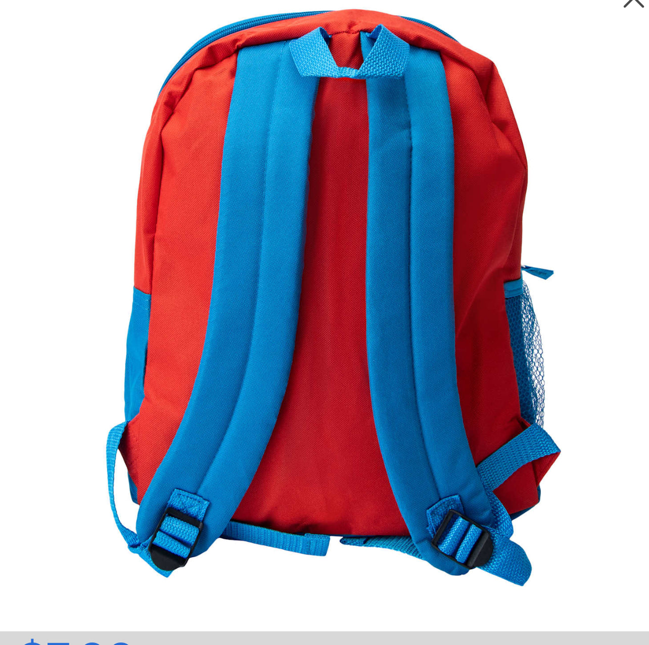 Licensed Kids Backpack